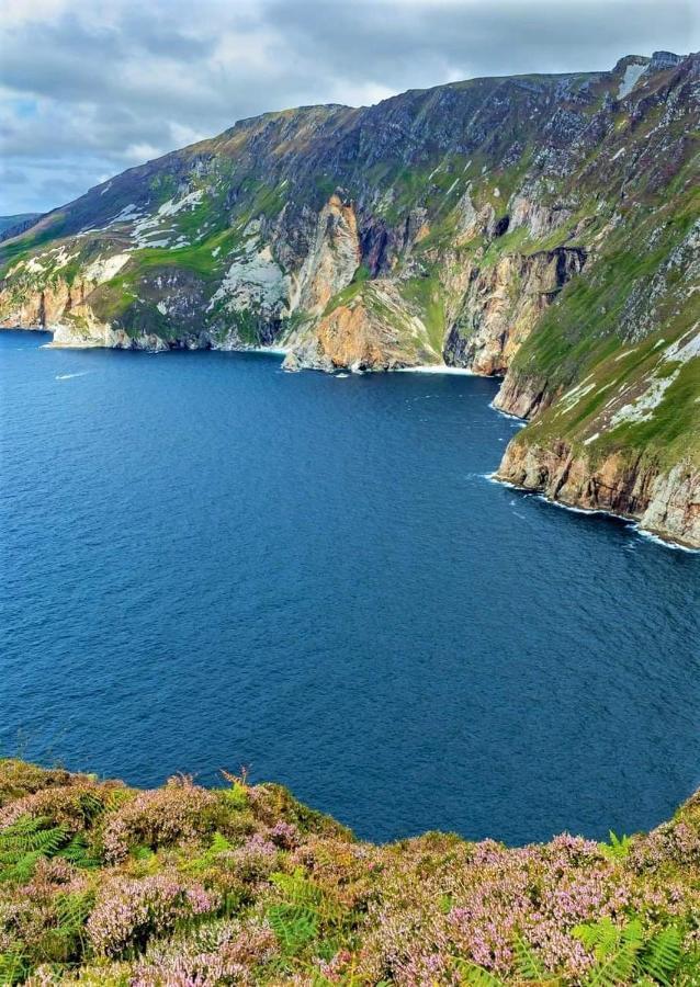 基利贝格斯Curragh View公寓 外观 照片